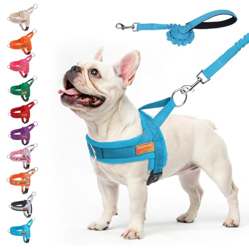 BEAUTYZOO No Pull Dog Harness Medium Sized Dog, Breathable Mesh Padded Dog Harness and Leash Set, Adjustable Reflective Escape Proof Dog Vest Harnessss Quick Fit for Training Walking, Blue M - color: Blue, size: M: Chest 21"-26.7"