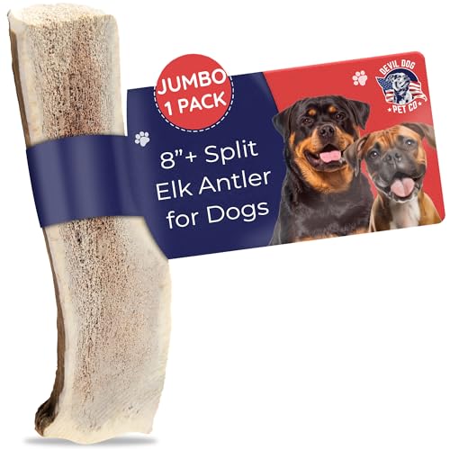 Devil Dog Pet Co. Split Elk Antlers for Dogs, Natural Dog Chew with Exposed Marrow - Long Lasting and Odor Free - USA Sourced - Cleaner Teeth, Anxiety & Boredom Relief - Jumbo 8"+ - Antler Bone - style: split - Jumbo - 1 Pack