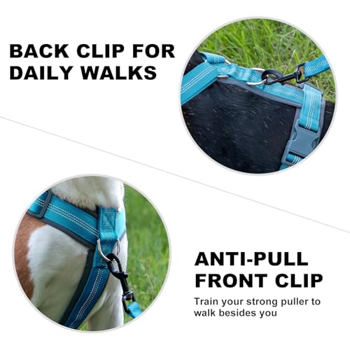 Plutus Pet No Pull Dog Harness, Adjustable Nylon Harness with Soft Padding, Reflective and Heavy Duty Dog Harness for Small, Medium, Large Dogs(Cyan, M) - color: Cyan, size: M
