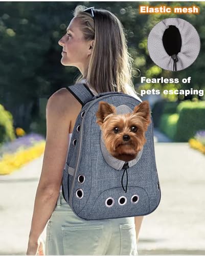 Small Dog Cat Chest Backpack Carrier,Large Space Ventilated Front Facing Backpack Carrier for Puppy,Lightweight Doggy Backpack for Hiking,Camping,Travel,Outdoor,Max 12 lbs(Denim Blue) - color: Denim Blue