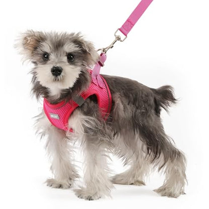 Dog Harness Small Sized and Leash Set, Step in Soft Light Puppy Vest, Breathable Mesh Pet Harness, Reflective for Safe Easy Walking. - color: Pink, size: X-Small (Pack of 1)