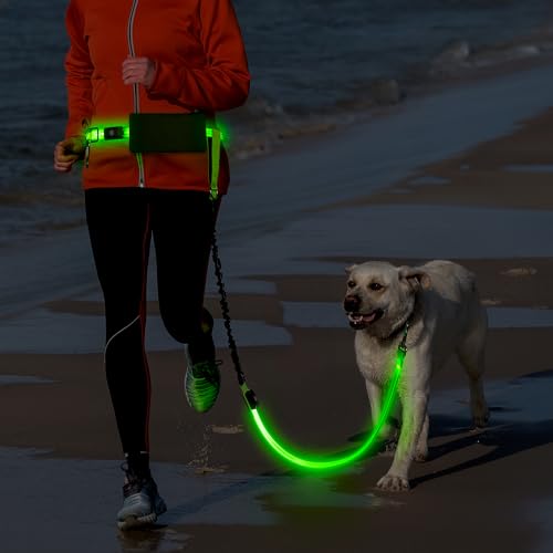 LED Hands Free Dog Leash, Waist Leash for Dog Walking, Retractable Bungee Light Up Dog Leash, LED Handless Dog Running Leash, Reflective Running Leash for Jogging Training Hiking (Green) - color: Green