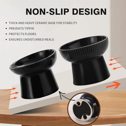 Elevated Cat Food Bowl, Ceramic Raised and Tilted Water Bowl, Whisker Fatigue Cat Bowls for Indoor Cats, Anti Vomiting and Protect Spines Pet Feeding Dishes for Kittens Small Dog, Heavy Non-Slip Base - color: Black