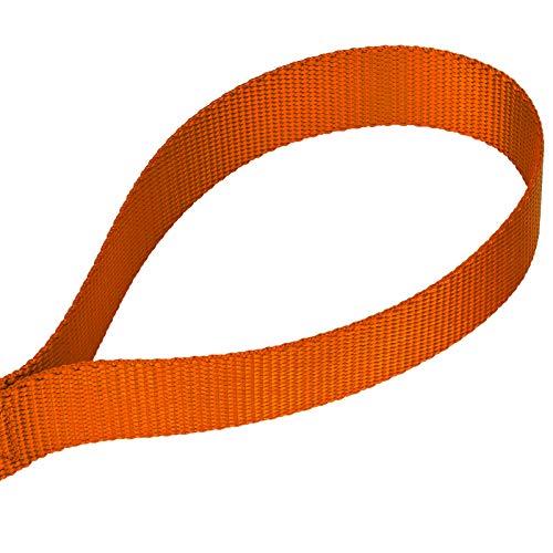 Country Brook Petz - Vibrant 17 Color Selection - Heavyduty Doublehandle Nylon Leash (6 Foot, 3/4 Inch Wide, Orange) - color: Orange