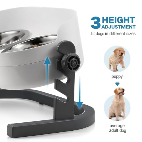 All for Paws Elevated Dog Bowls, Stainless Steel Food & Water Bowls, Height Adjustable Raised Cat Feeder Mess Proof Pet Feeding Bowls for Small to Large Size Dogs - size: Large