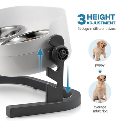 All for Paws Elevated Dog Bowls, Stainless Steel Food & Water Bowls, Height Adjustable Raised Cat Feeder Mess Proof Pet Feeding Bowls for Small to Large Size Dogs - size: Large