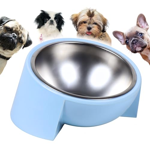 Tilted Dog Bowl for Flat-Faced & Senior Dogs, 15° Slanted Stainless Steel Dog Food Bowl, Elevated Pet Feeder for Small & Medium Dogs, Comfortable Eating Design (Light Blue, M (420 ML / 1.5 Cups)) - color: Light Blue