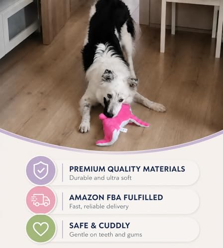 Crinkle Dog Toy – No stuffing Squeaky Dog Toy for Small Medium & Large Breeds, Interactive Tough Toy Set - Ideal for Chewing Teething & Fetch Durable Pet-Safe Materials - Soft Pink/Purple Plush, Large - color: Pink/Purple
