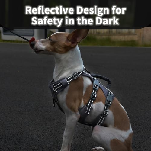 Huntboo Reflective Dog Harness with Handle, Escape Proof, No Slip, Breathable, Lightweight, Adjustable Lift Harness for Small, Medium, and Large Dogs Walking, Training, and Running Gear(Black,S) - color: Black, size: Small (Pack of 1)