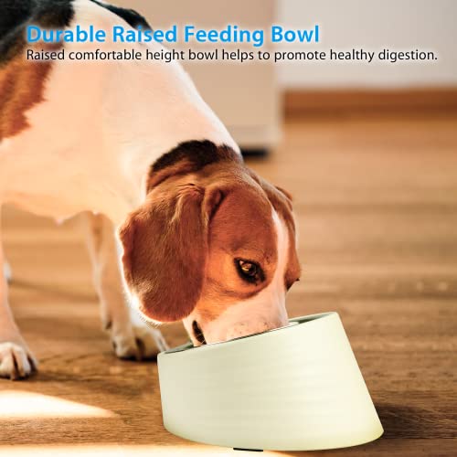 Uppetly Tilted Slanted Dog Bowl 1 Cup, 15° Tilted Stainless Steel Dog Cat Food Bowl, Non-Slip & Non-Spill Pet Feeder with Elevated Detachable Melamine Stand, Easy to Get Food Dish, Medium White