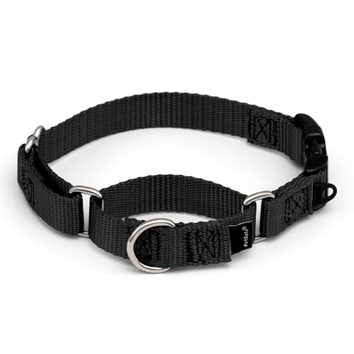 PetSafe Martingale Dog Collar with Quick-Snap Buckle - Small, 3/4 Inch, Black