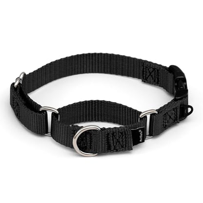 PetSafe Martingale Dog Collar with Quick-Snap Buckle - Small, 3/4 Inch, Black