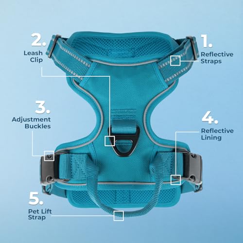 Voyager Dog Harness Dual Leash Attachment No-Pull Control Adjustable Soft but Strong Pet Harness for Medium and Large Dogs with 3M Reflective Technology, Turquoise Nylon, XS (Chest: 13-16") - color: Turquoise Nylon, size: XS (Chest: 13 - 16")
