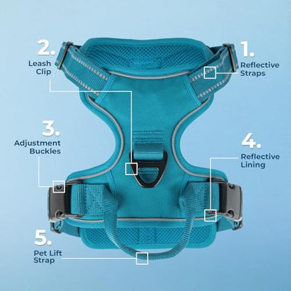 Voyager Dog Harness Dual Leash Attachment No-Pull Control Adjustable Soft but Strong Pet Harness for Medium and Large Dogs with 3M Reflective Technology, Turquoise Nylon, XS (Chest: 13-16") - color: Turquoise Nylon, size: XS (Chest: 13 - 16")