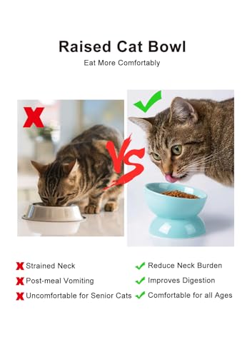 ABRUTY Cat Water Bowl, 16 OZ Ceramic Elevated Cat Bowls, 15° Tilted and Raised Pet Food Dish, Anti Vomiting Protect Pets' Spines and Whisker Fatigue, Turquoise - color: Turquoise, size: 1 Pack