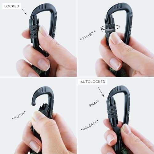 MADE TO ROAM Premium Explorer Leash - Climbing Rope Leash with Autolocking Aviation Aluminum Carabiner - Virginia Mountains, 6ft - color: Virginia Mountains, size: 6 Feet