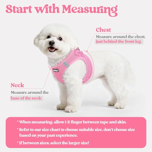 rabbitgoo Dog Harness Small Sized and Leash Set, Step in Soft Light Puppy Vest, Breathable Mesh Pet Harness, Reflective for Safe Easy Walking, Light Pink XXS - color: Light Pink, size: Xxs (chest: 12.4 - 14.2")