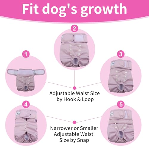Washable Female Dog Diapers for Small Dogs,Pack of 4 Reusable Puppy Diapers Super Absorbent Dogs Pants in Period,Heat Cycle,Incontinence,Excitable Urination,Medium - size: Medium