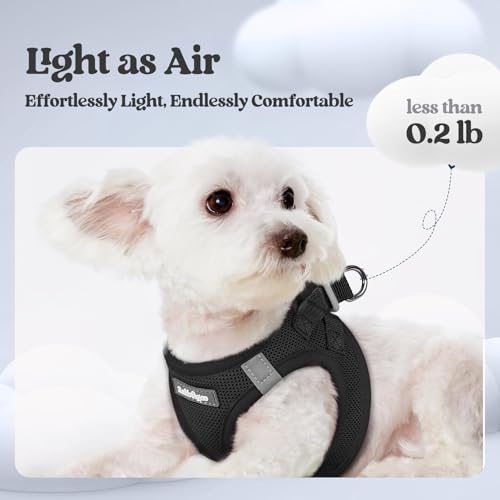 rabbitgoo Dog Harness Small Sized and Leash Set, Step in Soft Light Puppy Vest, Breathable Mesh Pet Harness, Reflective for Safe Easy Walking, Black XXS - color: Black, size: Xxs (chest: 12.4 - 14.2")