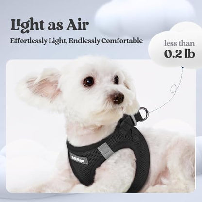 rabbitgoo Dog Harness Small Sized and Leash Set, Step in Soft Light Puppy Vest, Breathable Mesh Pet Harness, Reflective for Safe Easy Walking, Black XXS - color: Black, size: Xxs (chest: 12.4 - 14.2")