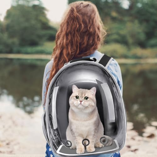 Pet Backpack Carrier with Harness Backpack with Bubble Clear Front for Cats, Small Dogs, Bunnies etc with Harness Included, Pet Carrier for Traveling, Walking, Hiking and Outdoor Activities - color: Black