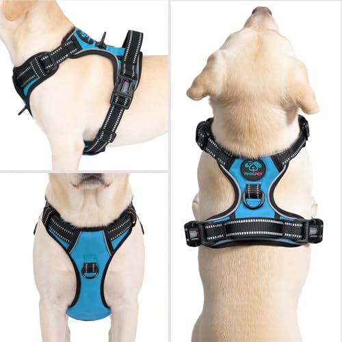 PHOEPET No Pull Dog Harnesses for Small Puppies Reflective Adjustable Front Clip Vest with 2 Metal Leash Attachment Hooks Soft Handle(S, Blue) - color: Blue, size: Small