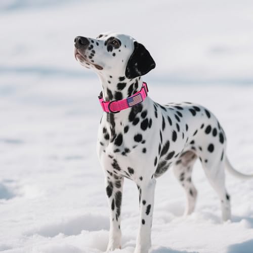 Martingale Dog Collar Quick Release Buckle No Pull Reflective Non-Slip for Medium Large Dogs Training (Pink, Medium) - color: Pink, size: Medium (Pack of 1)