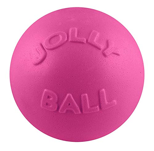 Jolly Pets Bounce-n-Play Dog Toy Ball, 6 Inches, Pink, 6 Inches/Medium (2506 PK) - color: Pink, size: Medium (6 in)