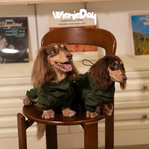Dachshund Full Body Dog Raincoat, Waterproof 4-Leg Jacket with Removable Belly Flap, Lightweight Reflective Hooded Dog Coat for mini Dachshund Small Medium Dogs (Medium(11-15lbs)) - size: Medium(11-15lbs)