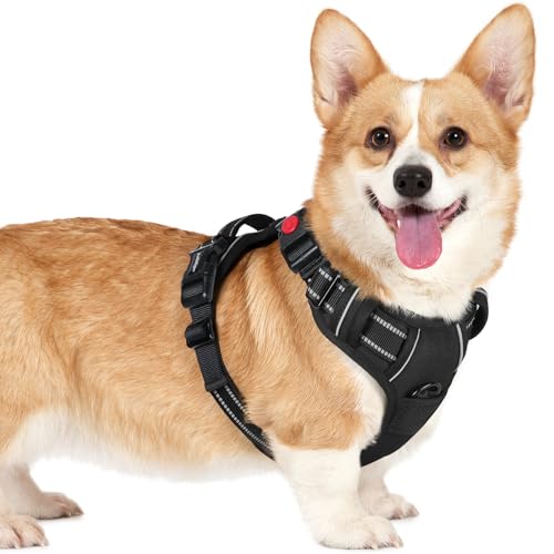 rabbitgoo Dog Harness Small Sized, No Pull Pet Harness with 3 Buckles, Adjustable Soft Padded Vest with Control Handle, Walking Reflective Pet Vest for Small Dogs, Black, S - color: Black, size: Small