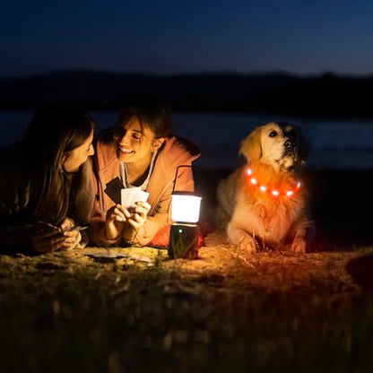 HIGO LED Dog Collar, Rechargeable Light Up Dog Collars, Lightweight Silicone Pet Safety Collar Lights for Night Walking (Orange-Silicone) - color: Orange-Silicone
