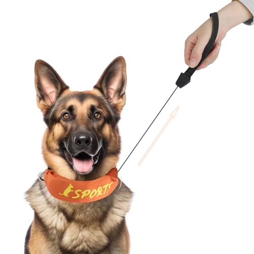 2 in 1 Dog Collar with Retractable Dogs Leash, Adjustable Dog Collar for Medium to Large Dogs