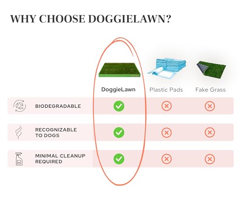 DoggieLawn XL - Real Grass Dog Pee Pad with Built-in Disposable Tray | No Cleaning, Odor-Free | Indoor Outdoor Potty Training for Puppies & Large Dogs | 48" x 24" - size: X-Large 24x48 inches