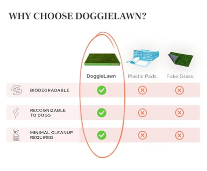 DoggieLawn XL - Real Grass Dog Pee Pad with Built-in Disposable Tray | No Cleaning, Odor-Free | Indoor Outdoor Potty Training for Puppies & Large Dogs | 48" x 24" - size: X-Large 24x48 inches