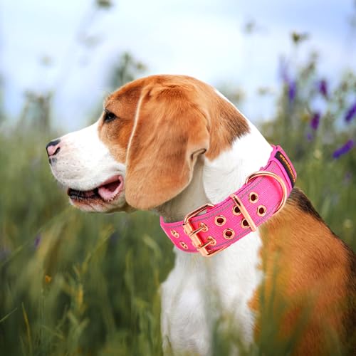 Heavy Duty Tactical Dog Collar with Neoprene Padded and Metal Buckle, Reflective Nylon for Medium to Large Dogs(Pink, Medium) - color: Pink, size: Medium (Pack of 1)