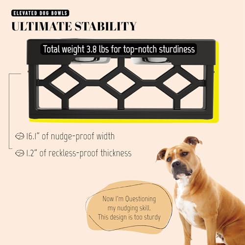 AVERYDAY Small Dog Bowls Elevated, 4 Height Adjustable Raised Dog Bowl Stand with 2 Stainless Steel Food and Water Bowls Set, Tall Dogs Feeding Station with Anti-Slip Base for Small Medium Breeds Dogs - color: Black stand + 2 food bowls, size: Small