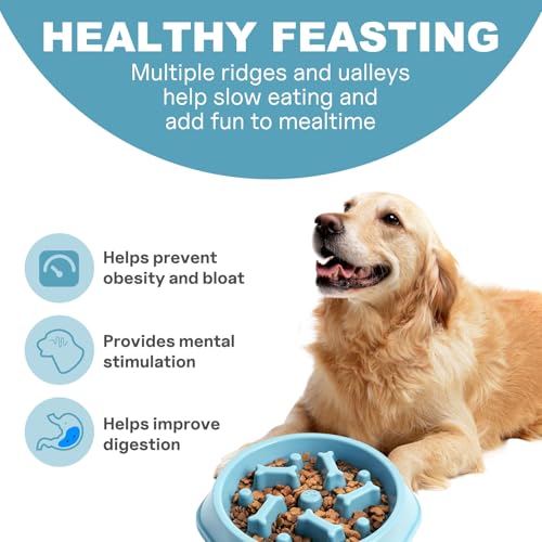 Slow Feeder Dog Bowls Anti Gulping Reduces Gastric Burden Prevents Bloat and Digestive Issues Safe Durable Material Easy to Clean Puppy Slow Feeder Bowl for Healthy Eating Excess Energy Management - color: Blue