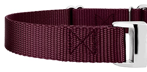 Country Brook Petz - Martingale Dog Collar - Heavy Duty Nylon Adjustable Martingale Dog Collar with Premium Buckle for Small Medium Large Breeds (5/8 Inch, Extra Small, Burgundy) - color: Burgundy, size: Extra Small (Pack of 1)