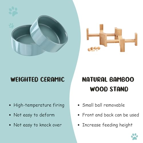 SPUNKYJUNKY 15° Slanted Ceramic Dog and Cat Bowl with Wooden Stand, Tilted Bulldog Food and Water Bowl No Slip Non-Spill for Cats Medium Dogs Big Face Pets 13.5 OZ (1.7 Cups, Light Green × 2) - color: Light Green, size: 1.7 CUPS × 2