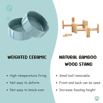 SPUNKYJUNKY 15° Slanted Ceramic Dog and Cat Bowl with Wooden Stand, Tilted Bulldog Food and Water Bowl No Slip Non-Spill for Cats Medium Dogs Big Face Pets 13.5 OZ (1.7 Cups, Light Green × 2) - color: Light Green, size: 1.7 CUPS × 2