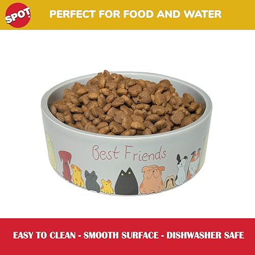 SPOT Best Friends Pet Food Dish - Food or Water Ceramic Bowl for Pets, Ideal for Small Dogs, Dishwasher Safe, 1.75 Cups (14oz) Capacity - 5in, Light Grey - size: 5 inch