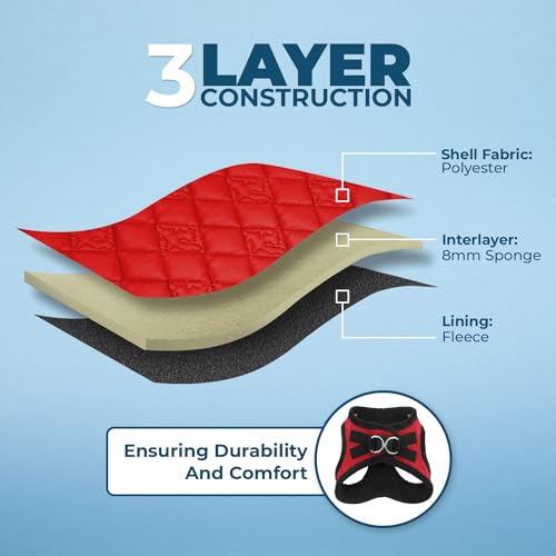 Best Pet Supplies Voyager Step-in Plush Dog Harness - Soft, Step in Vest Harness and Reflective Dog 5 ft Leash Combo with Neoprene Handle for Small and Medium Dogs, Red Plush, M - color: Harness Leash Set (Red Plush), size: M (Chest: 16 - 18")