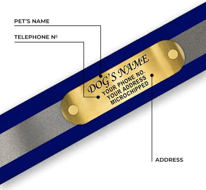 Regal Dog Products Small Blue Reflective Dog Collar with Custom Engraved Name Plate and Heavy Duty Center Ring | Waterproof Biothane Personalized Dog Collars - Other Sizes for Medium & Large Dogs - color: Blue, size: Small