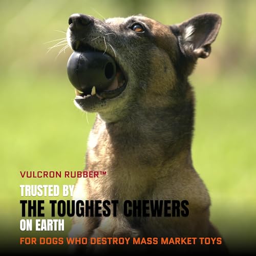 Monster K9 Scout Ball | Virtually Indestructible. Lifetime Guaranteed. | VULCRON™ Natural Rubber | Durable Dog Toy for Aggressive Chewers | Tough, Heavy Duty | Medium & Large Breed, 3" Pack of 2 - size: 2-Pack