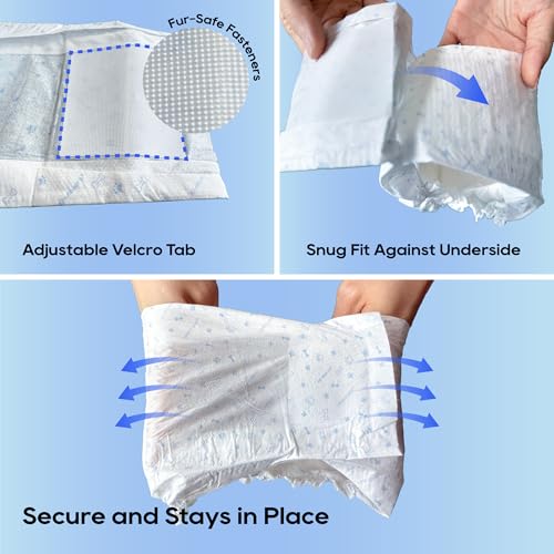 HONEY CARE All-Absorb A24 Male Dog Wrap, 50 Count, Large - size: Large( 50 Count)( Pack of 1)