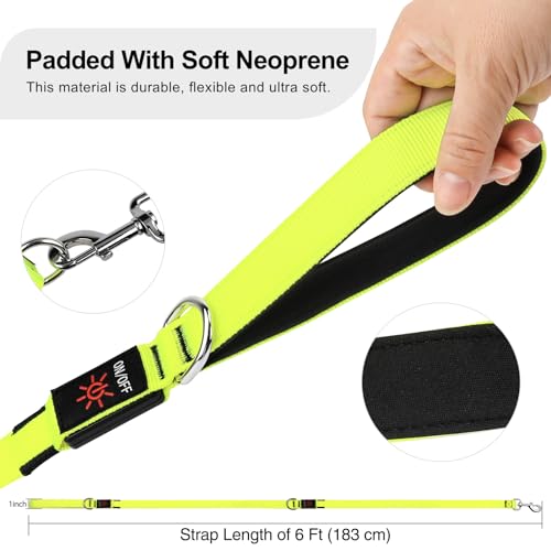 Colaseeme LED Light Up Dog Leash, USB Rechargeable (6FT,Green) | Glow in dark, reflective, USB-C rechargeable, bright LED for night safety, fits medium to large dogs - color: Green, size: 6FT