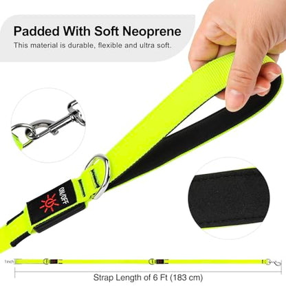 Colaseeme LED Light Up Dog Leash, USB Rechargeable (6FT,Green) | Glow in dark, reflective, USB-C rechargeable, bright LED for night safety, fits medium to large dogs - color: Green, size: 6FT
