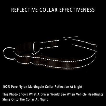 PLUTUS PET Reflective Martingale Collar with Quick Snap Buckle,No Pull Dog Choker Collar for Small Medium Large Dogs,XS, Chocolate - color: Chocolate, size: XS：10"-12"