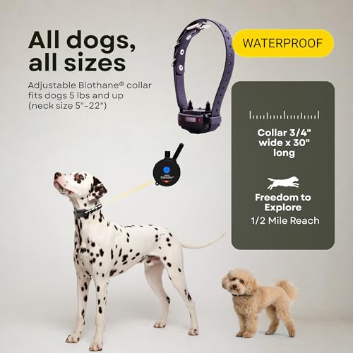 E-Collar ET-300 / ET-302 Dog Training Collar System with Remote - 1/2 Mile Range - Waterproof, Vibration, Sensation - Includes eOutletDeals Pet Towel (1 Dog System - ET-300 Black) - size: 1 Dog System - ET-300 BLACK
