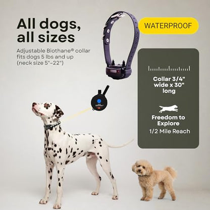 E-Collar ET-300 / ET-302 Dog Training Collar System with Remote - 1/2 Mile Range - Waterproof, Vibration, Sensation - Includes eOutletDeals Pet Towel (1 Dog System - ET-300 Black) - size: 1 Dog System - ET-300 BLACK